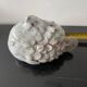 Small Rascasse box in glazed terracotta signed Rochehaut