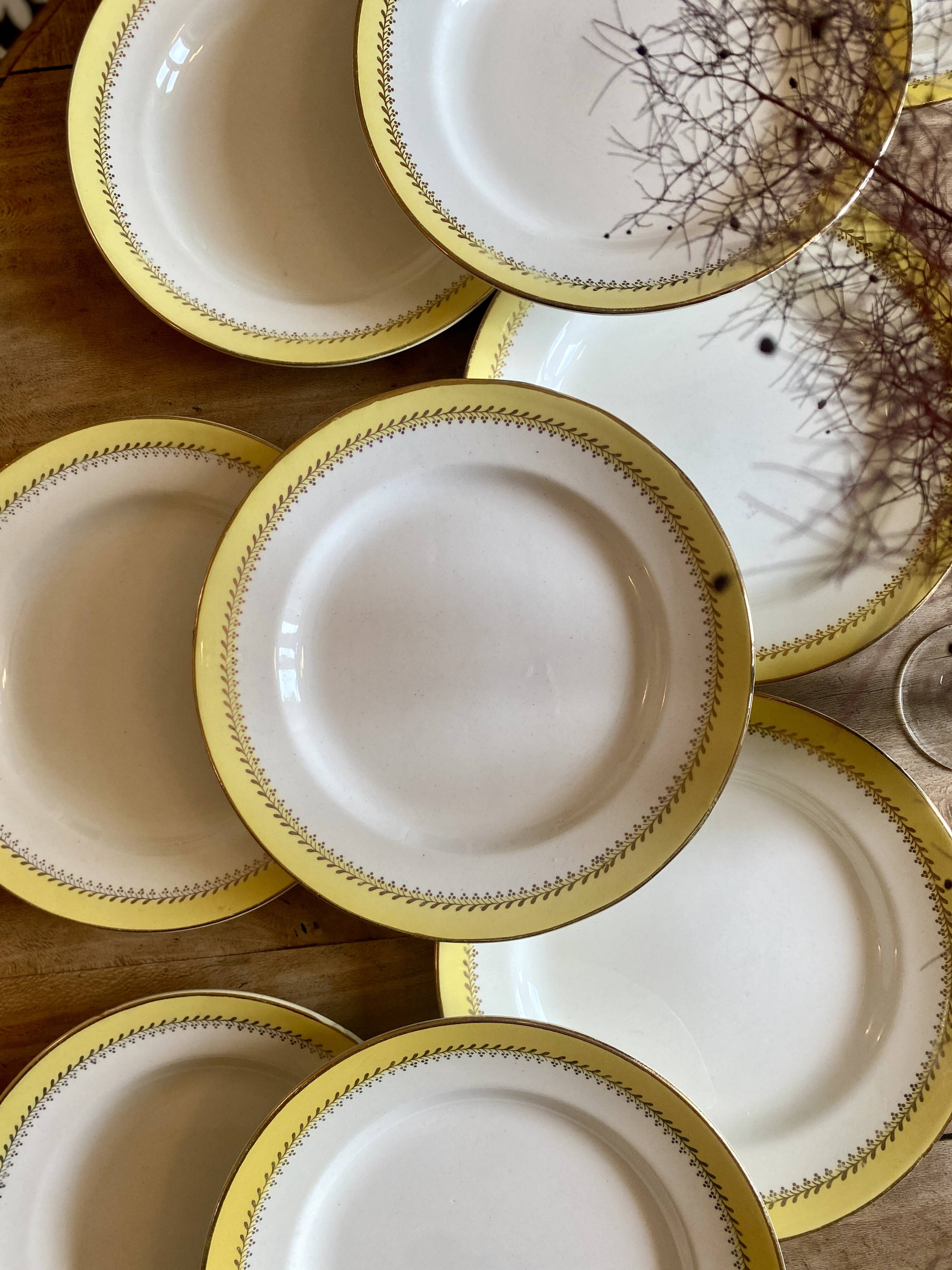 Set of 10 vintage Biarritz yellow, white and gold flat plates