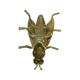 Vintage Copper Ashtray Figurine Fly Brass Italy 1960s