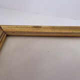 Zoological plate by François Martinet