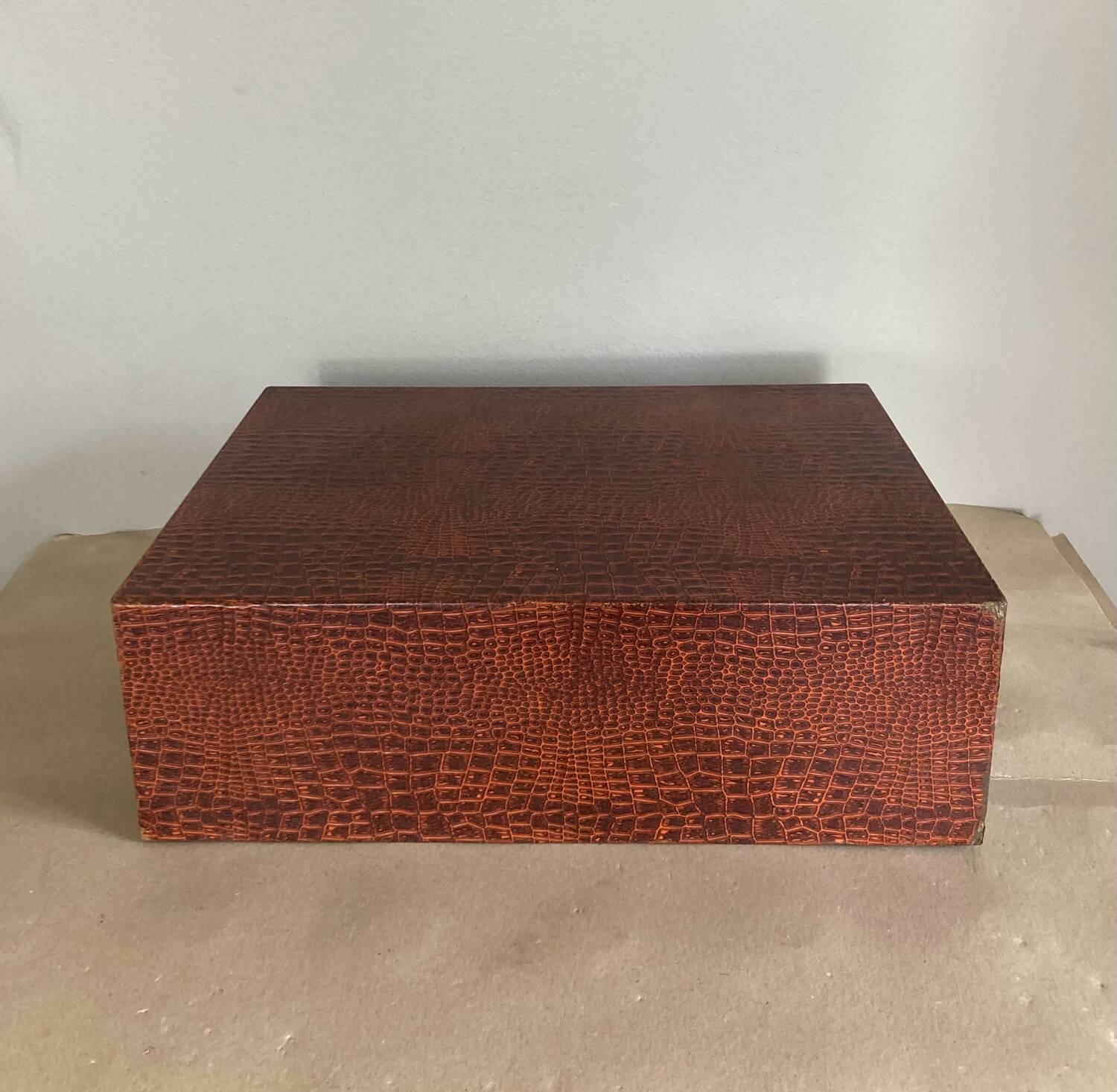 1960s cutlery box with Croco-style coating