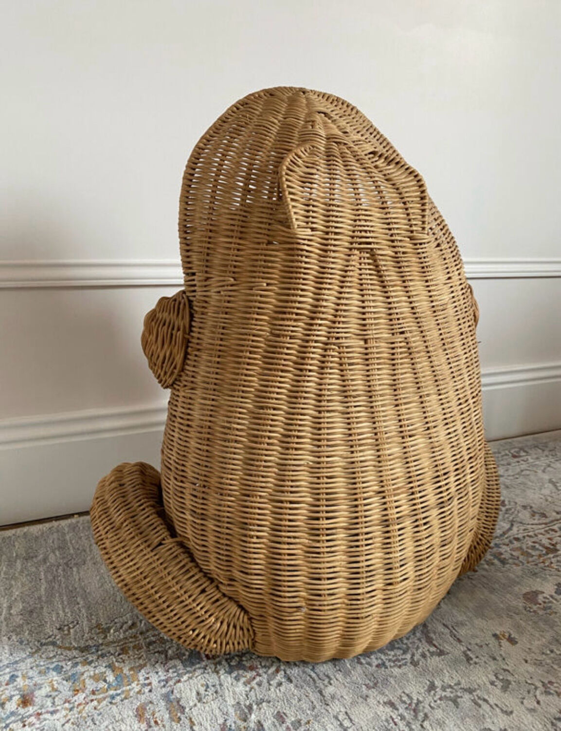 Willow frog Olivier Cajan