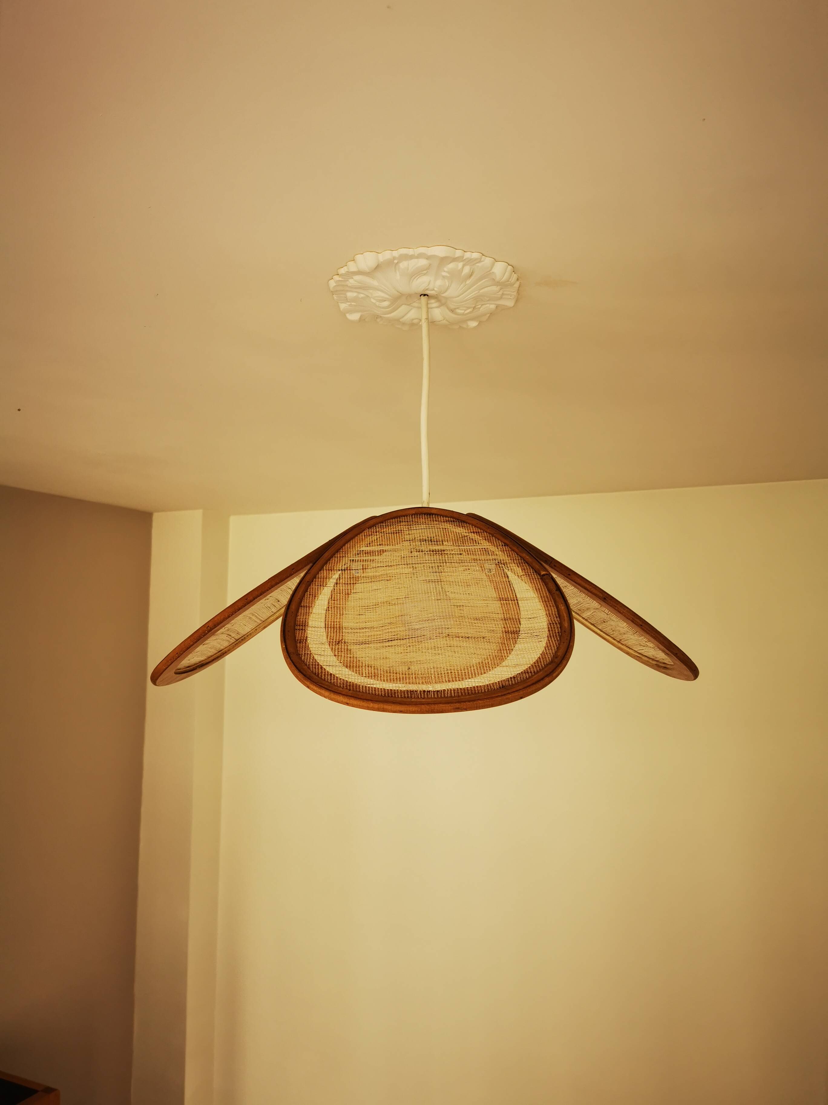 Suspension canvas and bamboo