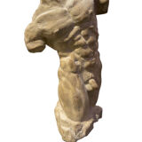 Roman torso in stone anatomical model ecorche