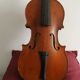 Violin'' Antonius Stradivarius' '