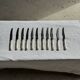 Lot de 11 couteaux anciens en acier inoxydable manches plaqués argent