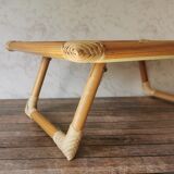 Folding tray parrots and flowers fiber and rattan