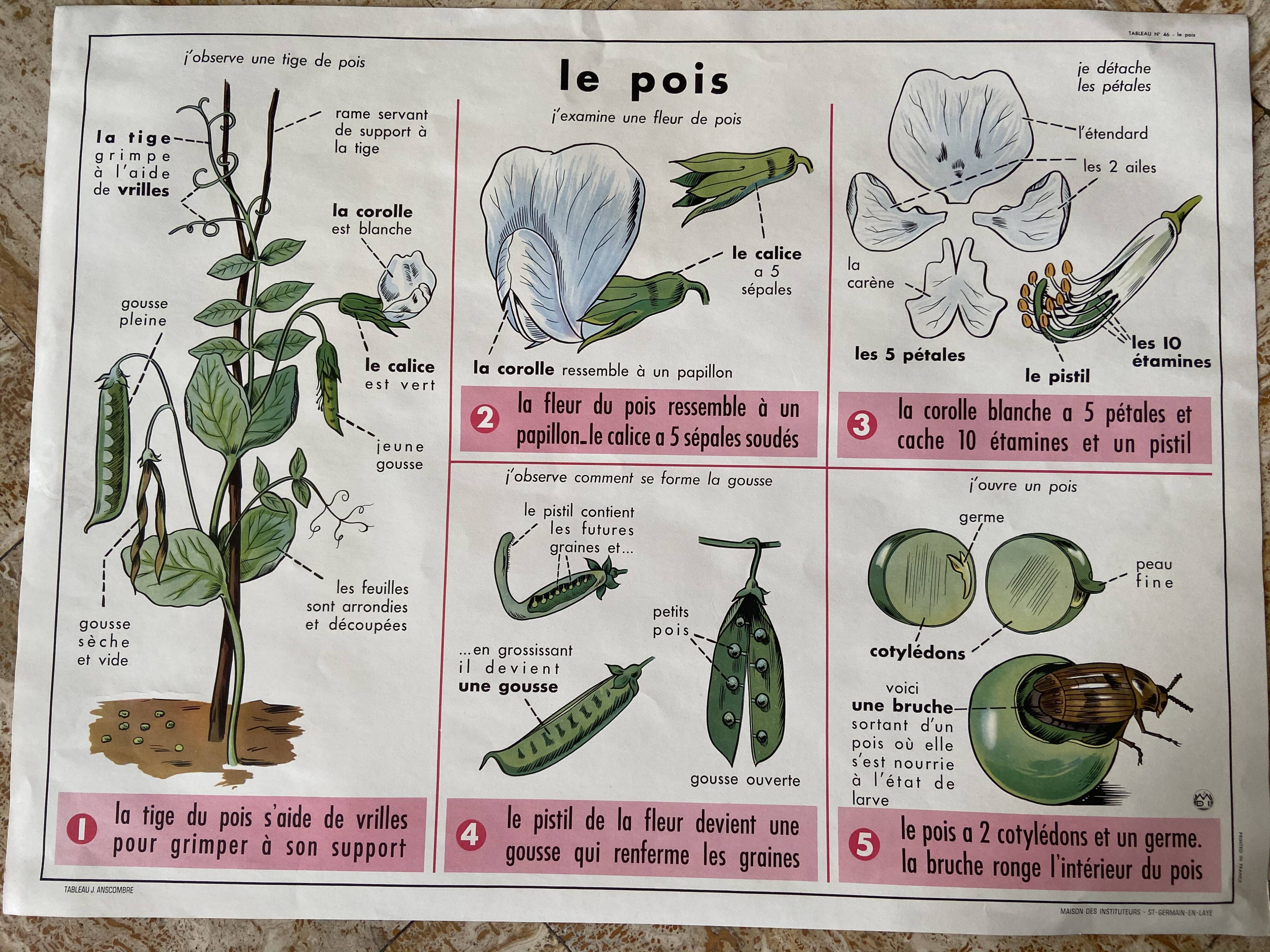 Old vintage school poster