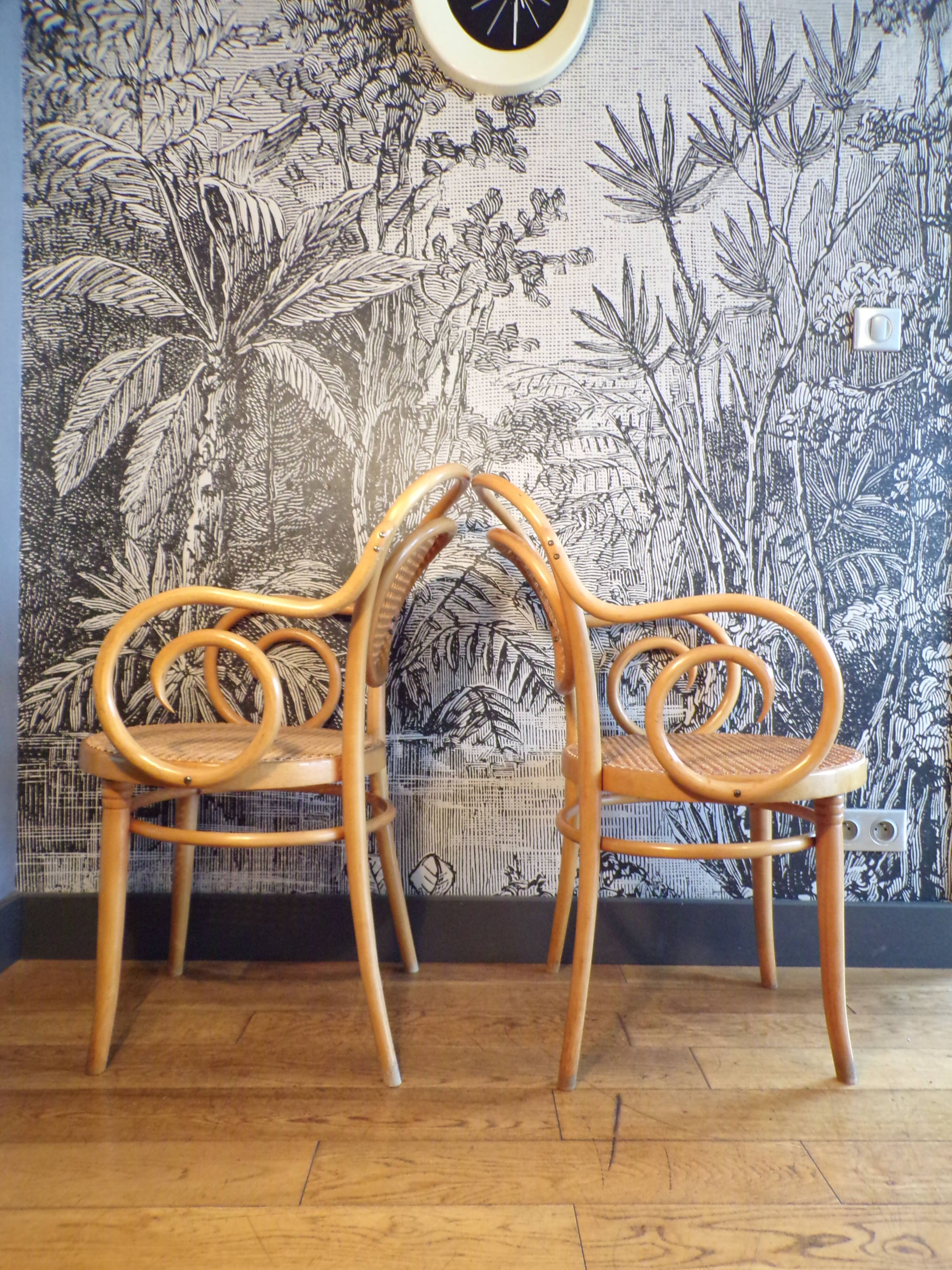 2 armchairs n°11 design Michael Thonet for ZPM Radomsko