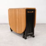 4 Trieste folding chairs with storrage table - Aldo Jacober for A. Bazzani