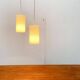 Modern mid-century German plastic suspension by Erco.