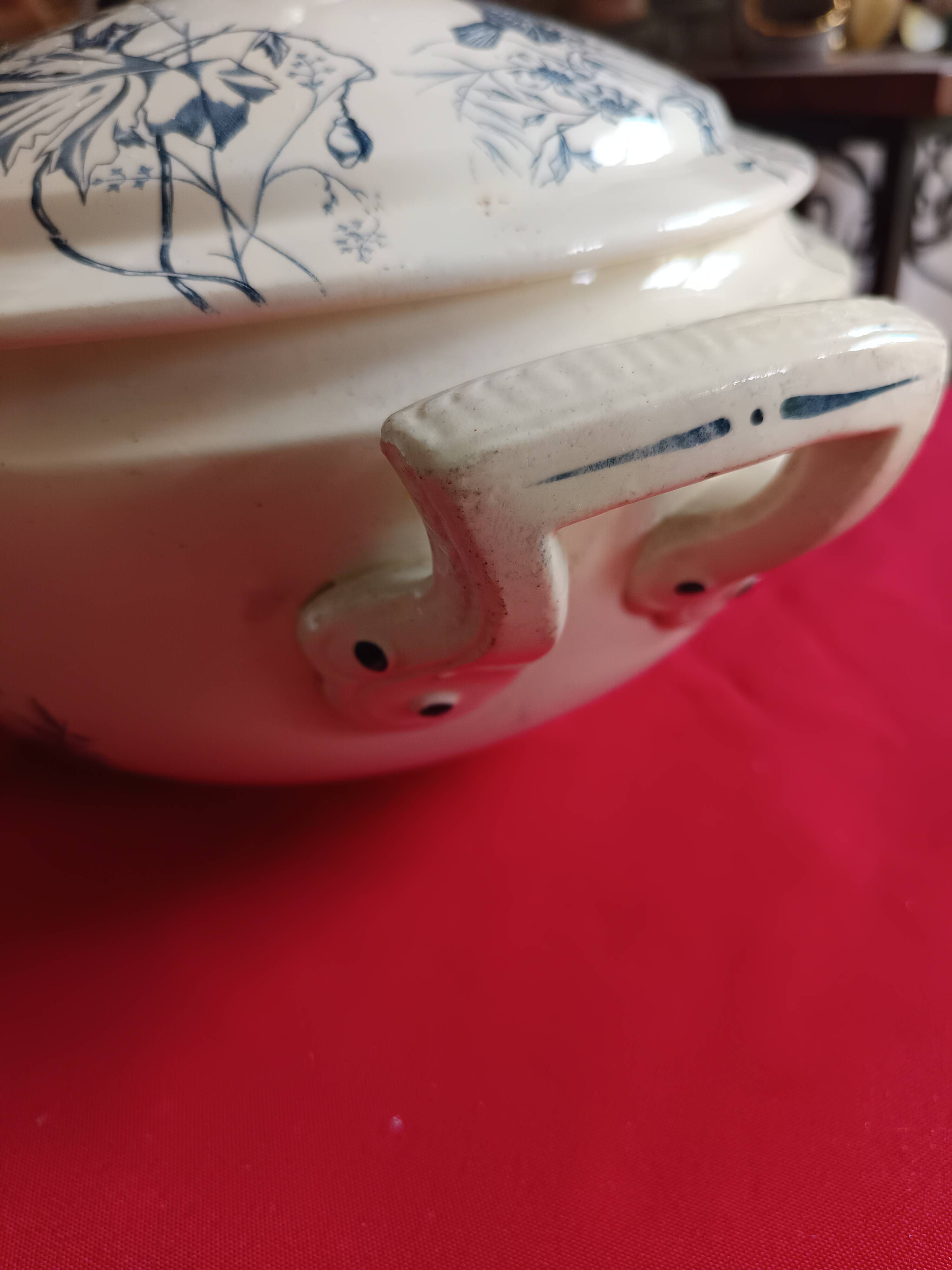 antique soup tureen Terre de Feu 1920/1930 with a decoration of birds and insects