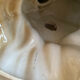 Grande porcelain coq sculpture Italy