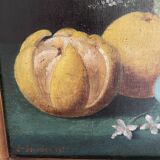 Still Life with Grapefruit and a Cup of Coffee