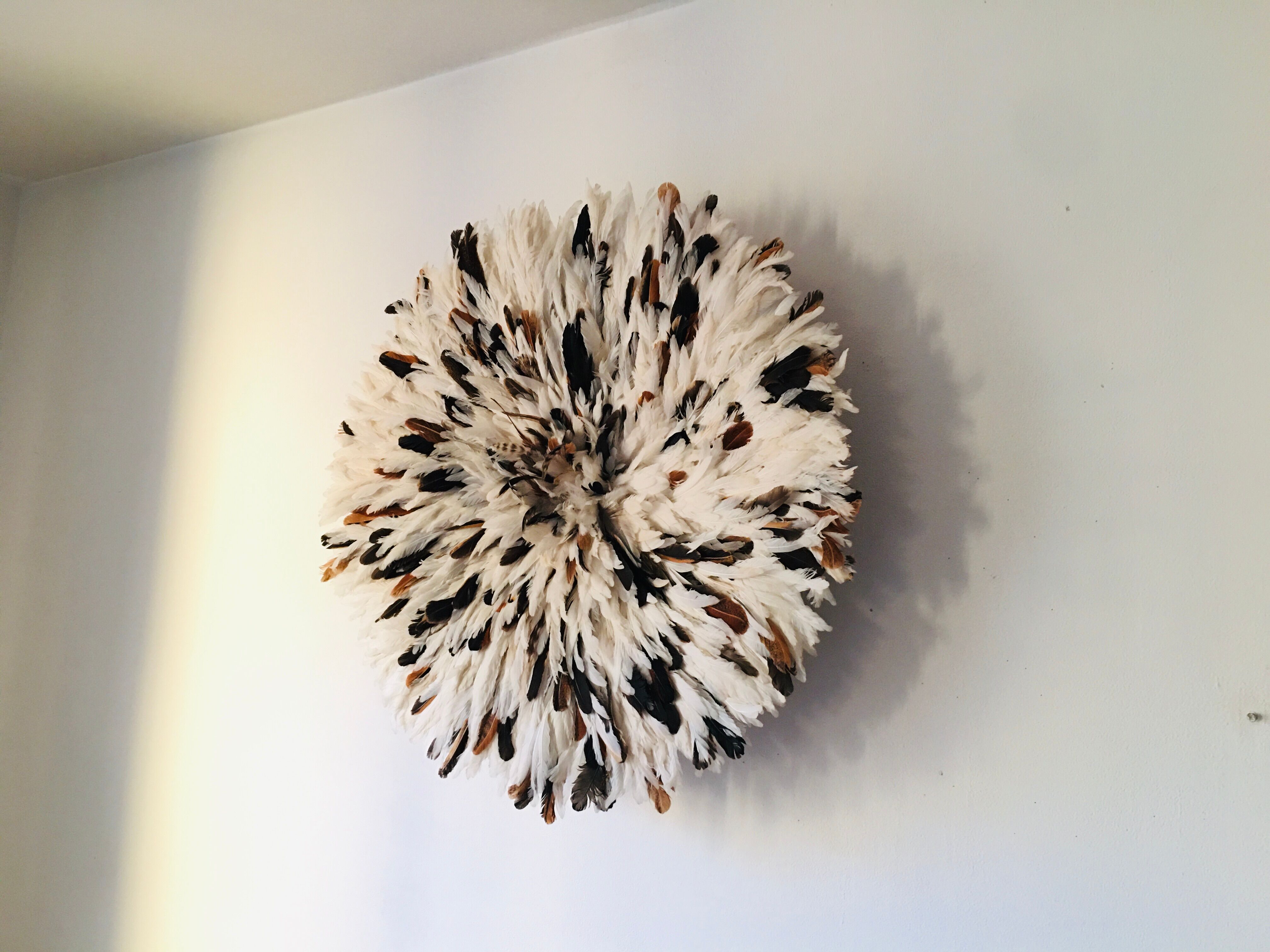 Speckled white jujuhat 65 cm