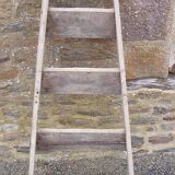 Old wooden stepladder