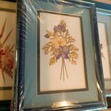 5 herbariums, framed floral arrangement