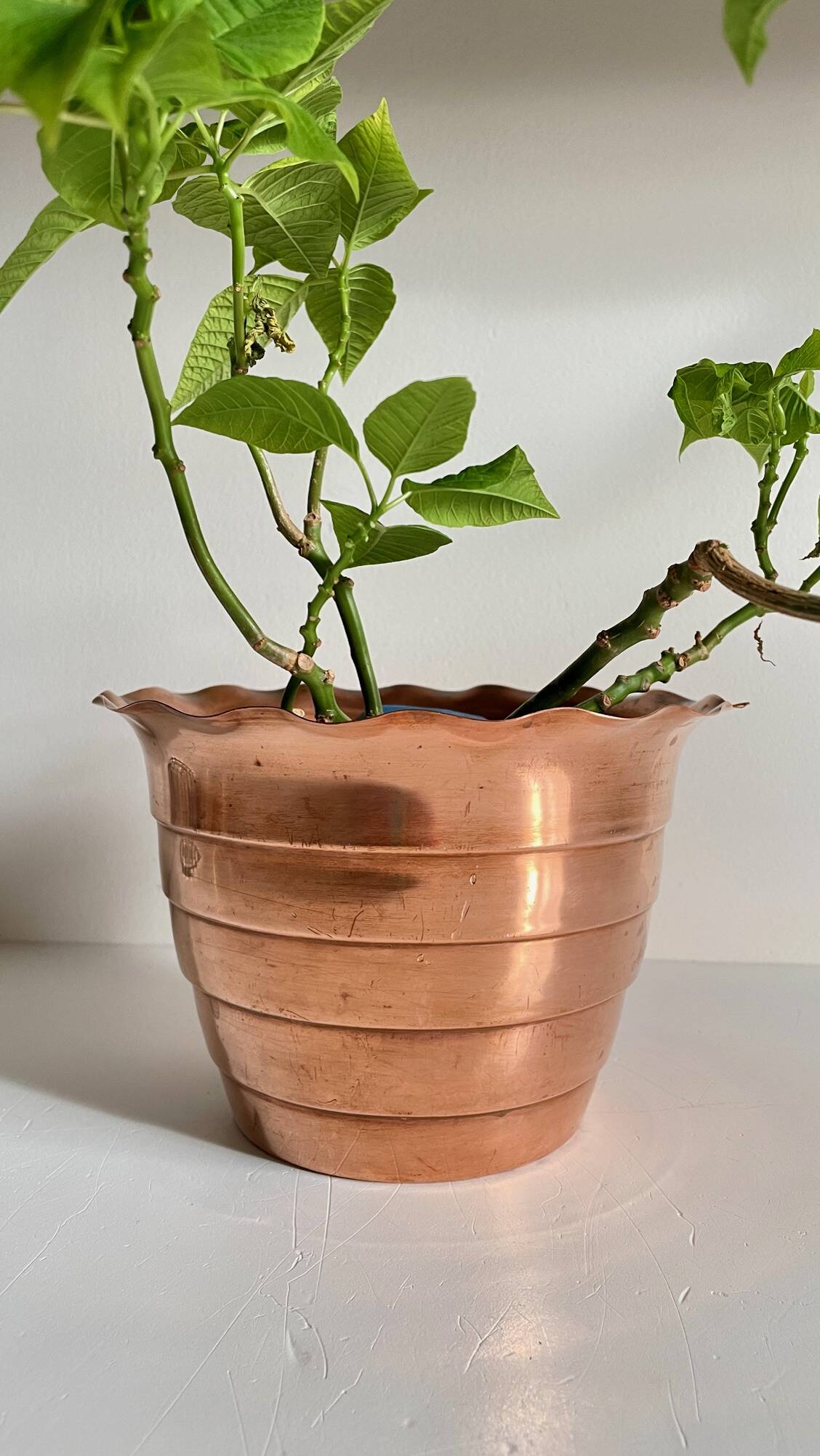 “Mur de Barrez” PLANTER, France, 1960s