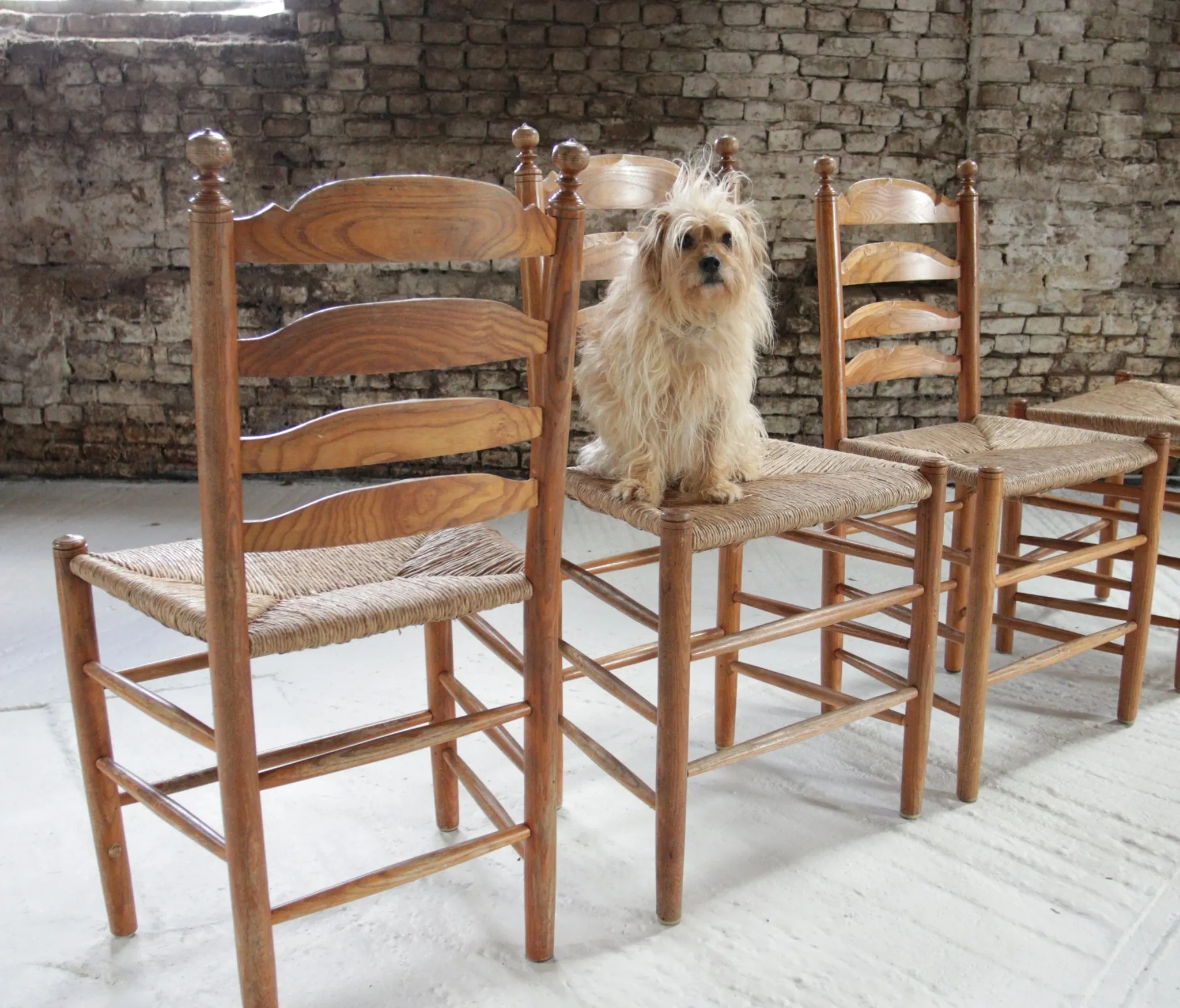Set of 4 old Dutch oak ladderback chairs with rush seats – 1960s
