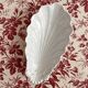 Antique porcelain shell ramekin dish