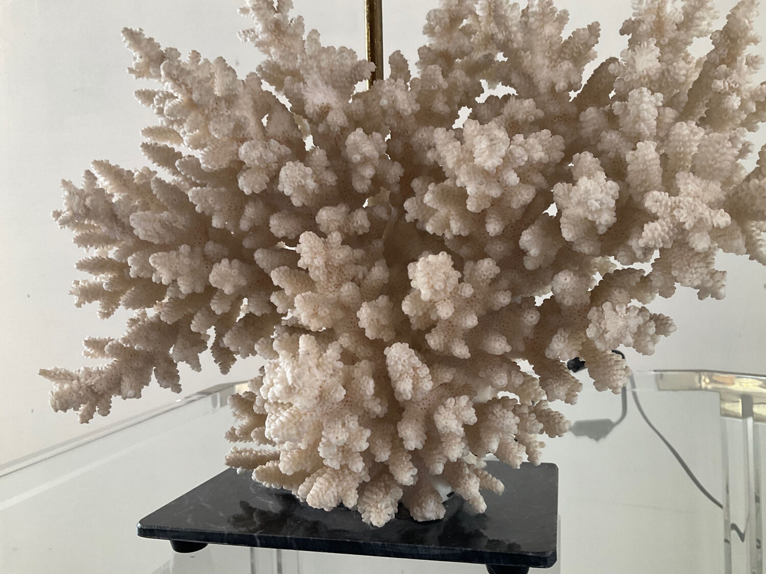 Hollywood Regency coral lamp from the 70s