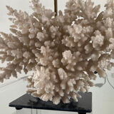 Hollywood Regency coral lamp from the 70s