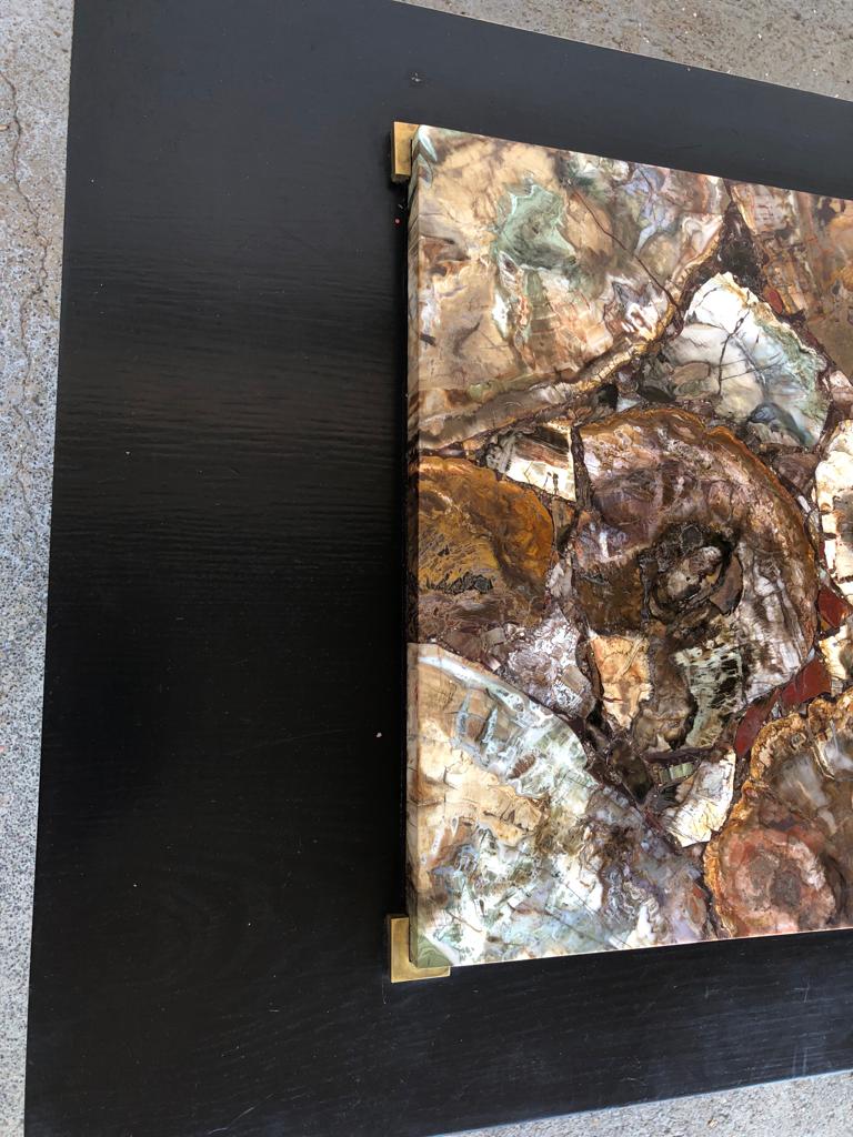 Coffee table with petrified wood top