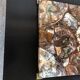 Coffee table with petrified wood top