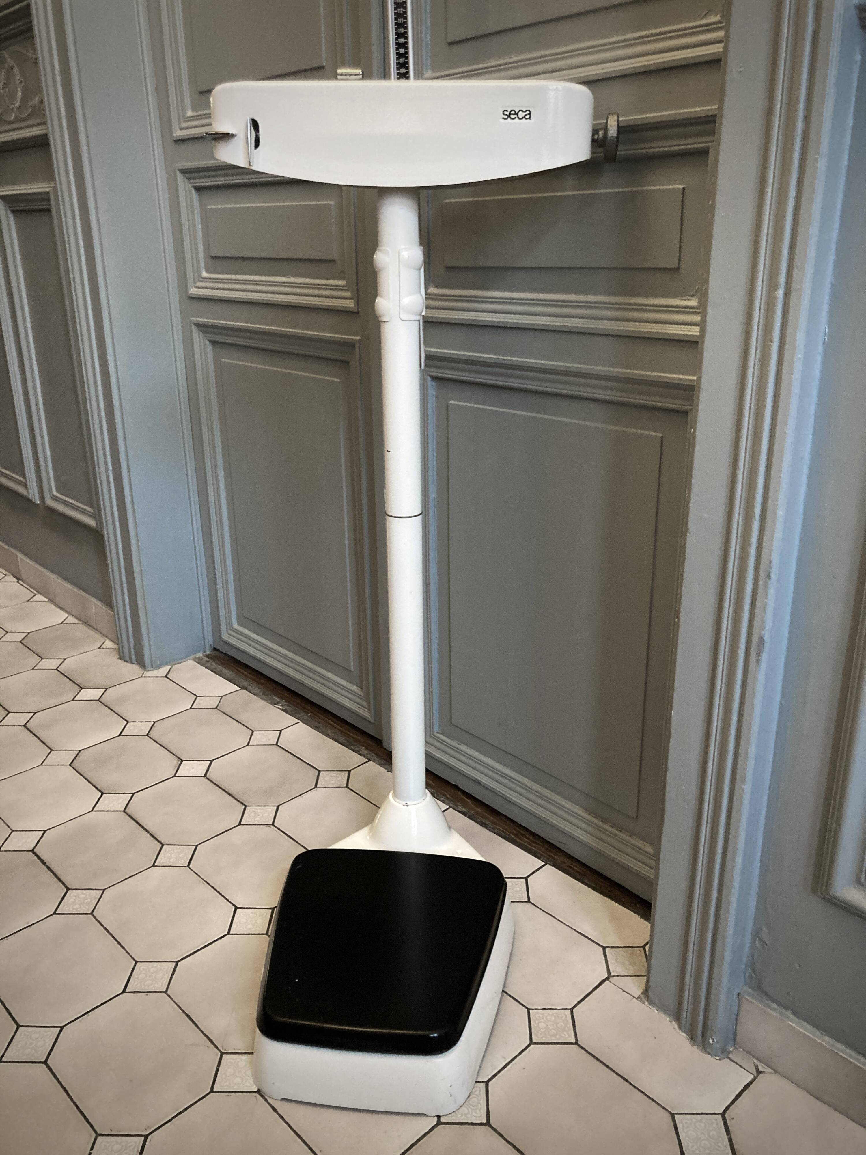 Personal scale and medicine measuring rod