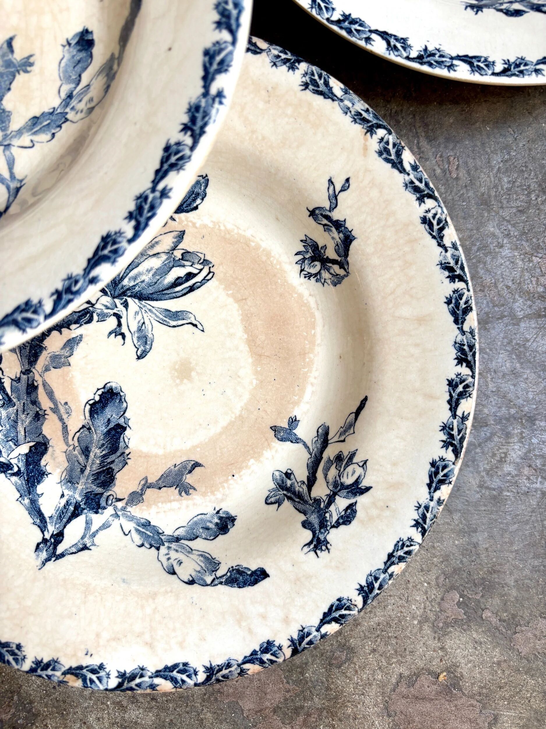6 deep plates Gien in blue ironstone, "Cactus" service.