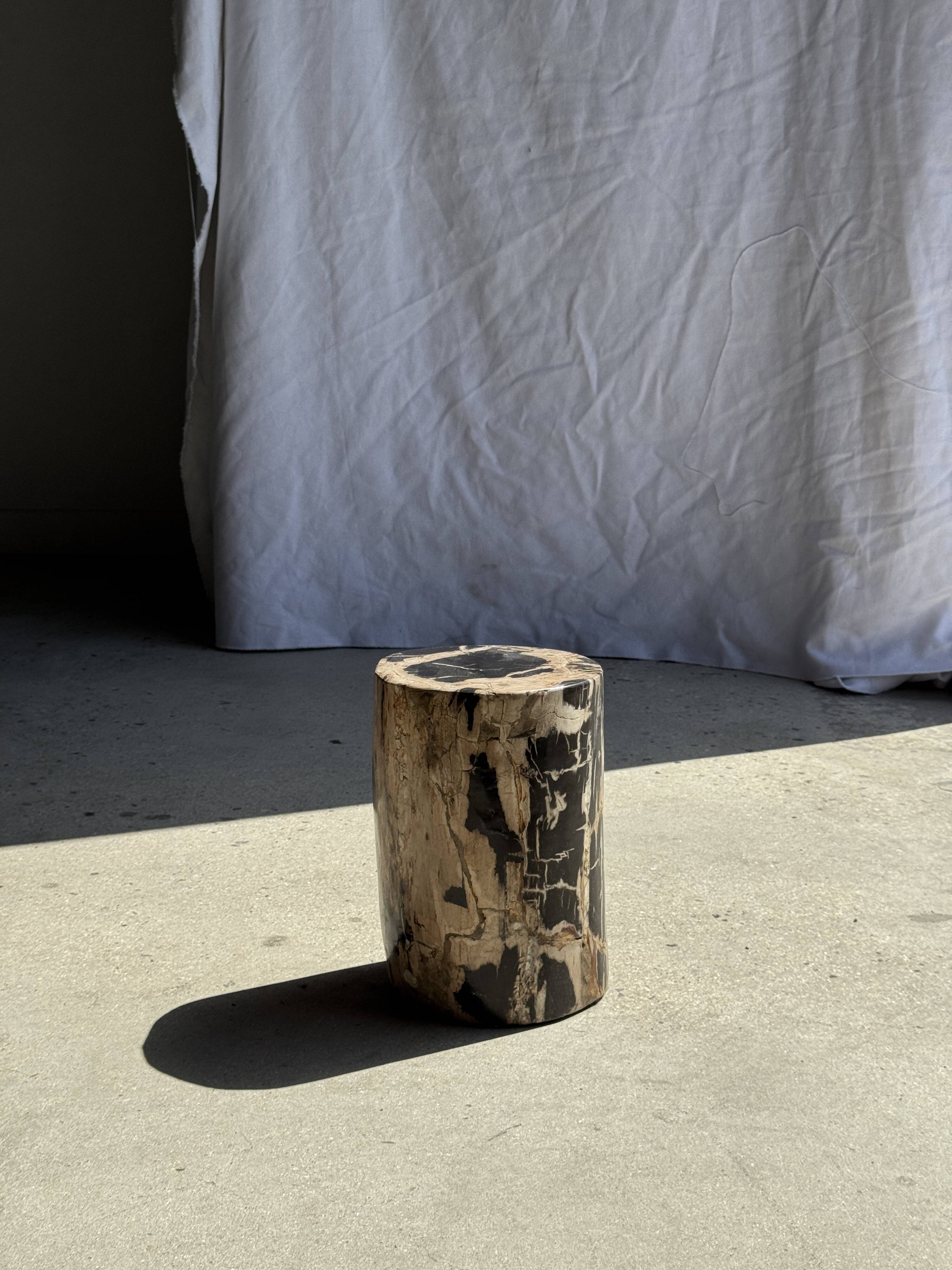 Petite table d'appoint en bois pétrifié cœur noir écorce stries noires et b