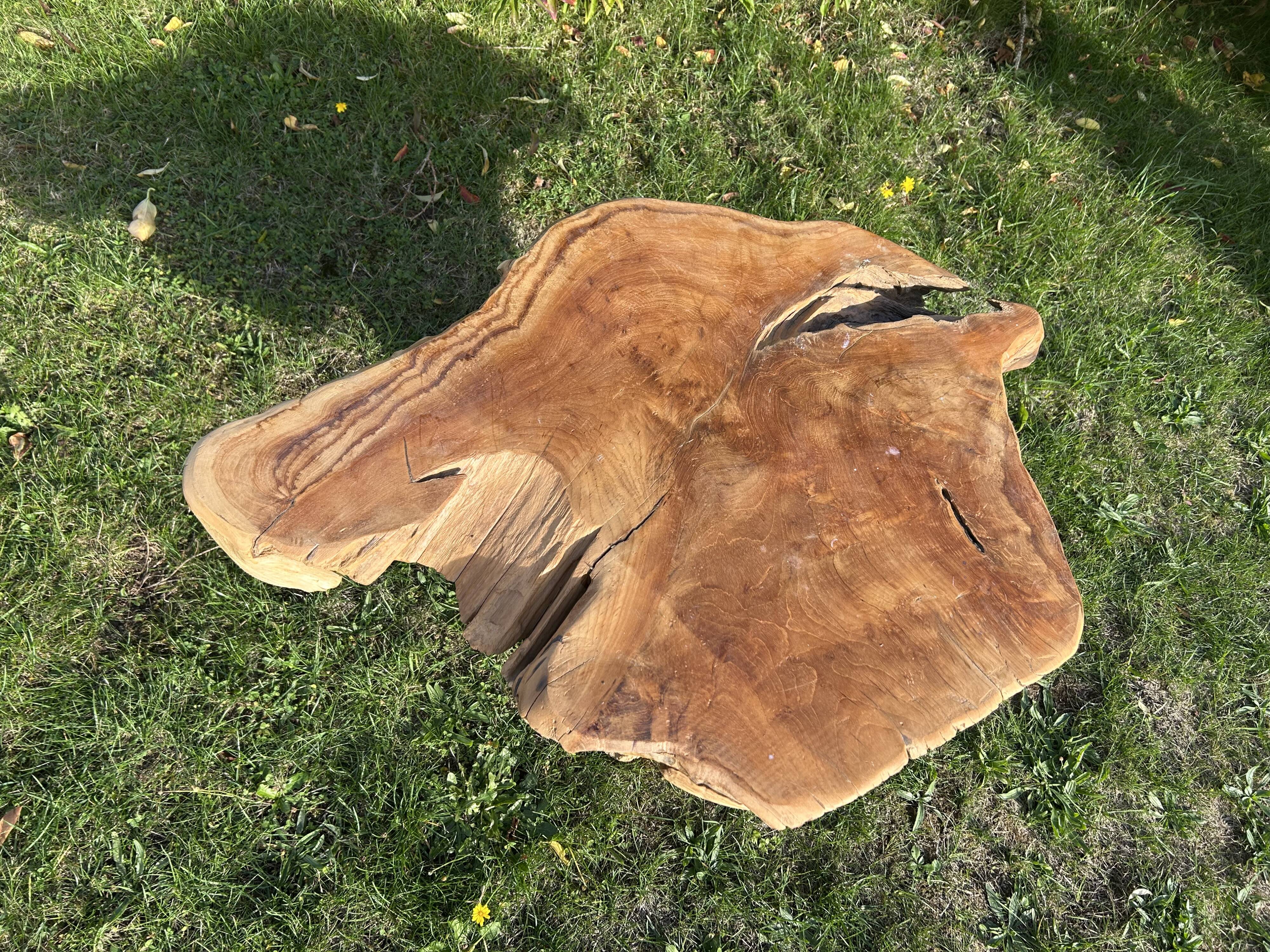 Root sculptural coffee table