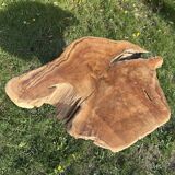 Root sculptural coffee table