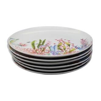 Assiettes à dessert Bouchara décor fond marin porcelaine