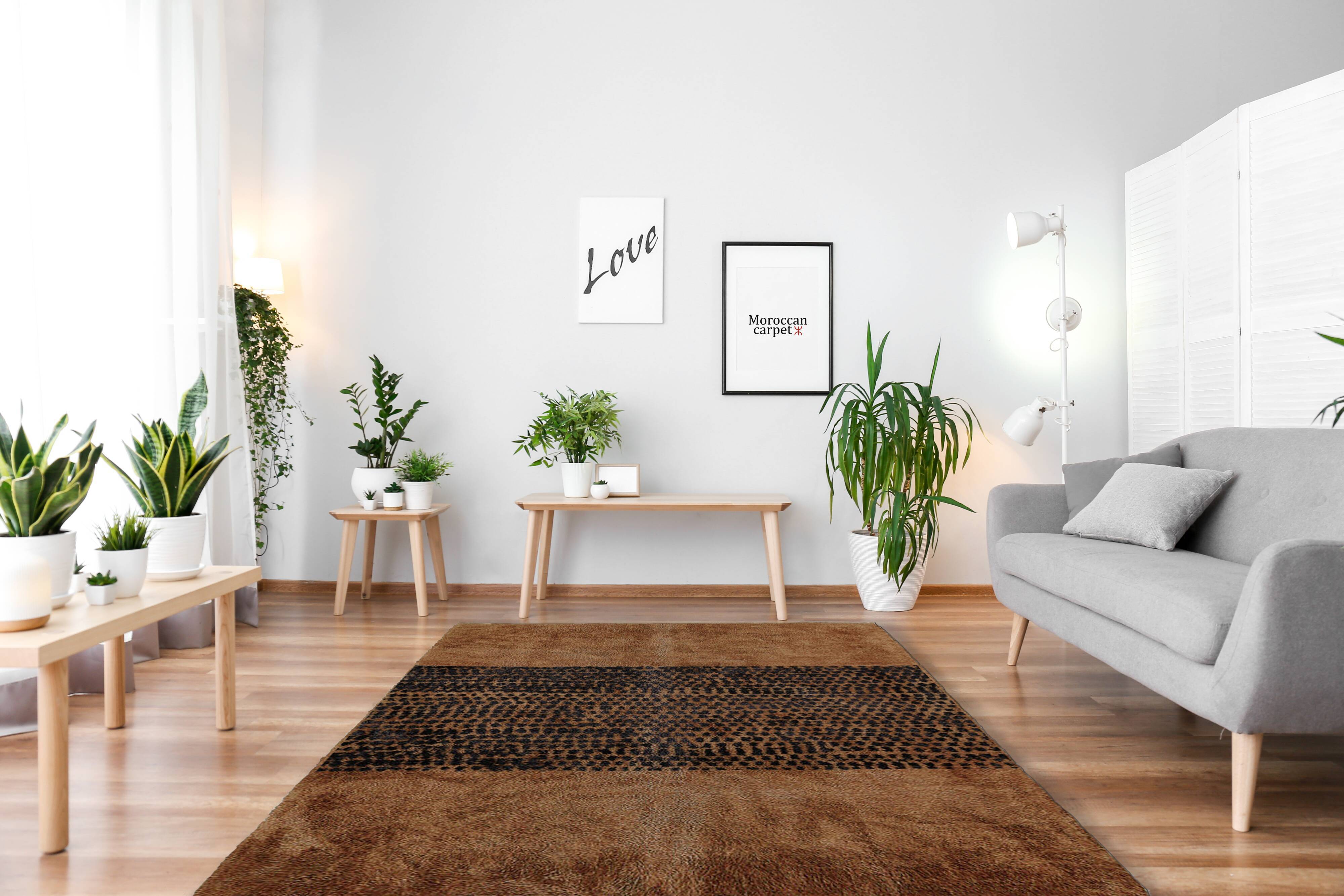 Brown modern Moroccan rug