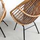 Set of 2 Rattan Bucket Loungechairs 1960s