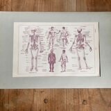 Original medicine board