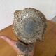 Shell-shaped ceramic glazed catchall