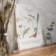 Botanical plank