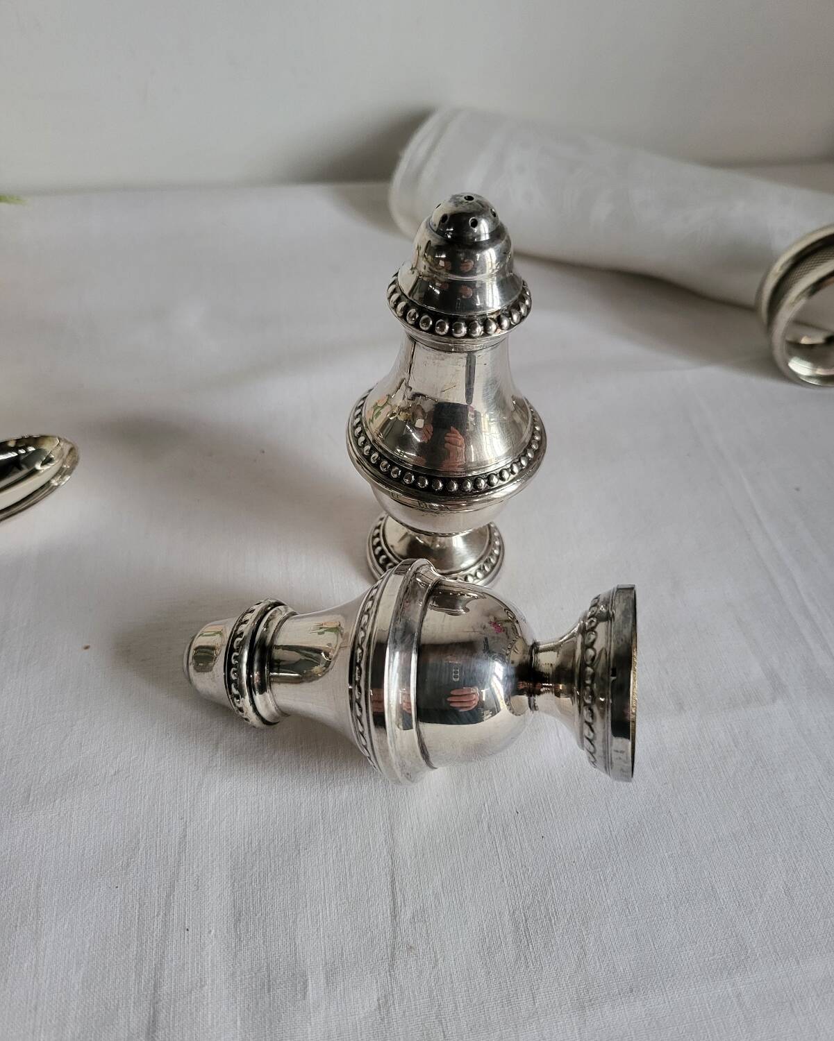 Salt and Pepper Shaker Set in Silver-Plated Metal