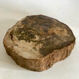 Petrified wooden ashtray