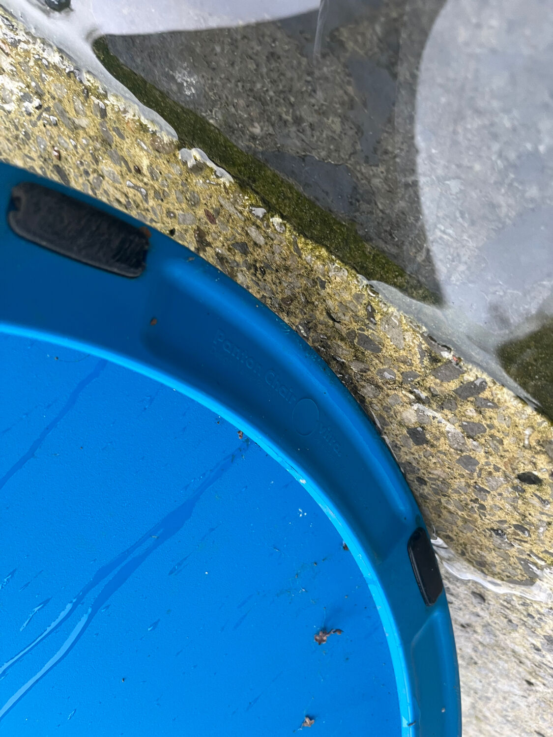 Panton chair duo – Verner Panton for Vitra – Blue – Signed edition