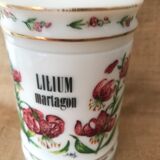 Pot pharmacy old Rouen