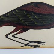 Paire de reproductions du Codex Pomar d'Histoire Naturelle, Valence, 1990