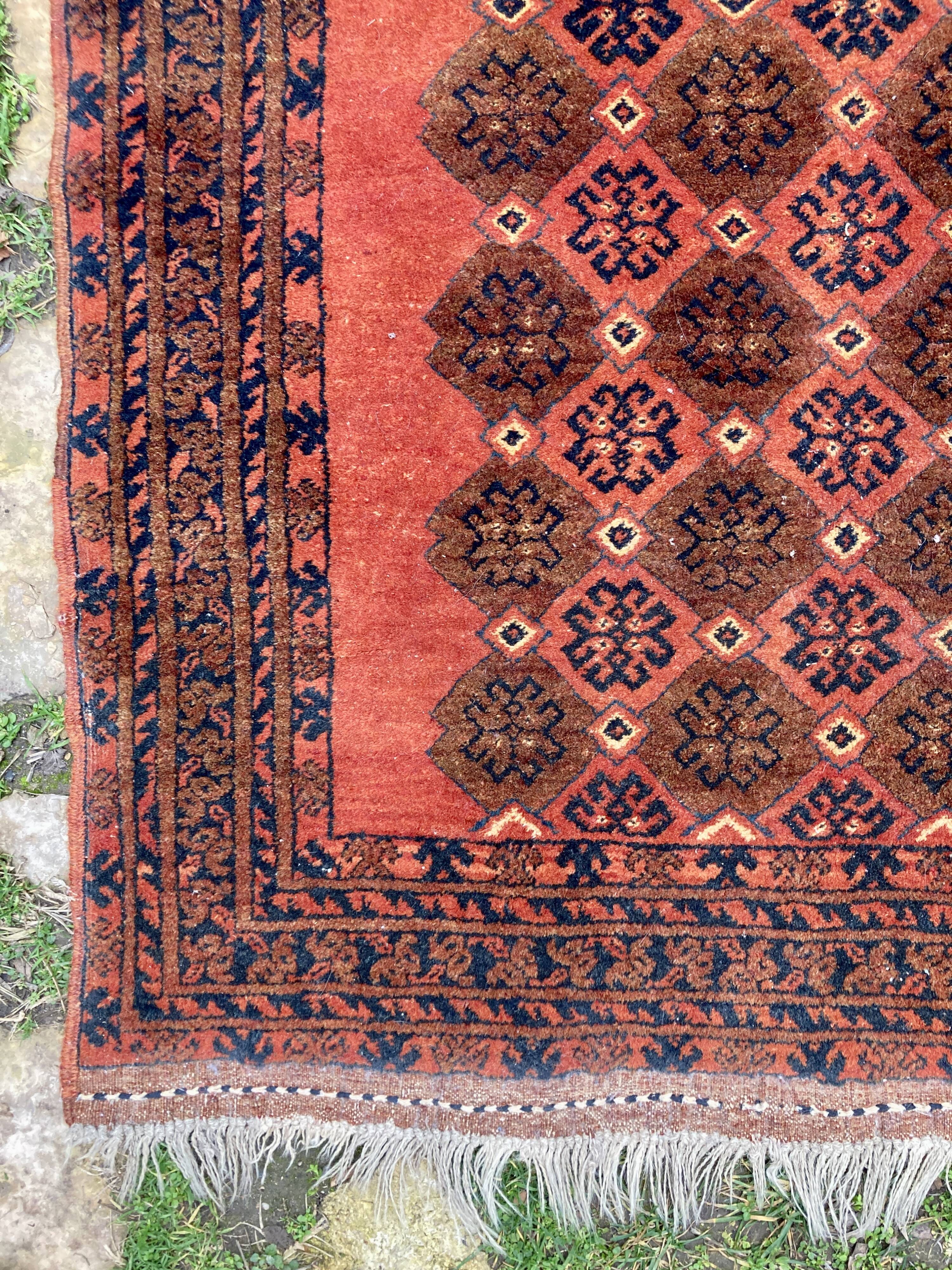 Afghan wool rug - 105 x 165