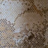 Vintage carpet Desso, 1970 , 137x70