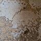Tapis vintage Desso, 1970 - 137x70