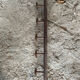 Vintage Wall Coat Rack x5 Wooden 1960s #E428