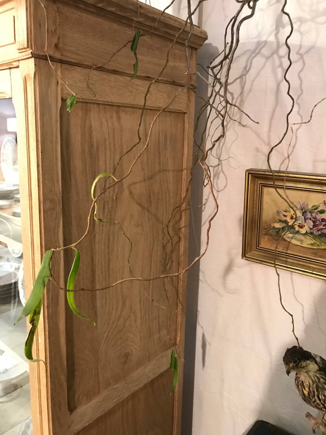 Pickled oak display bookcase