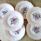 6 Digoin Hand-Painted Flower Plates